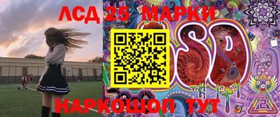 амф Дубна