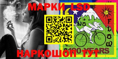 амф Дубна