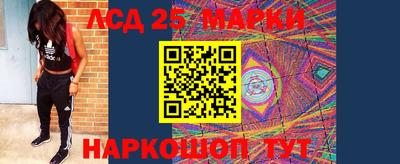 амф Дубна