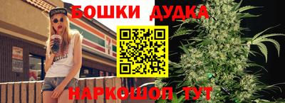 амф Дубна