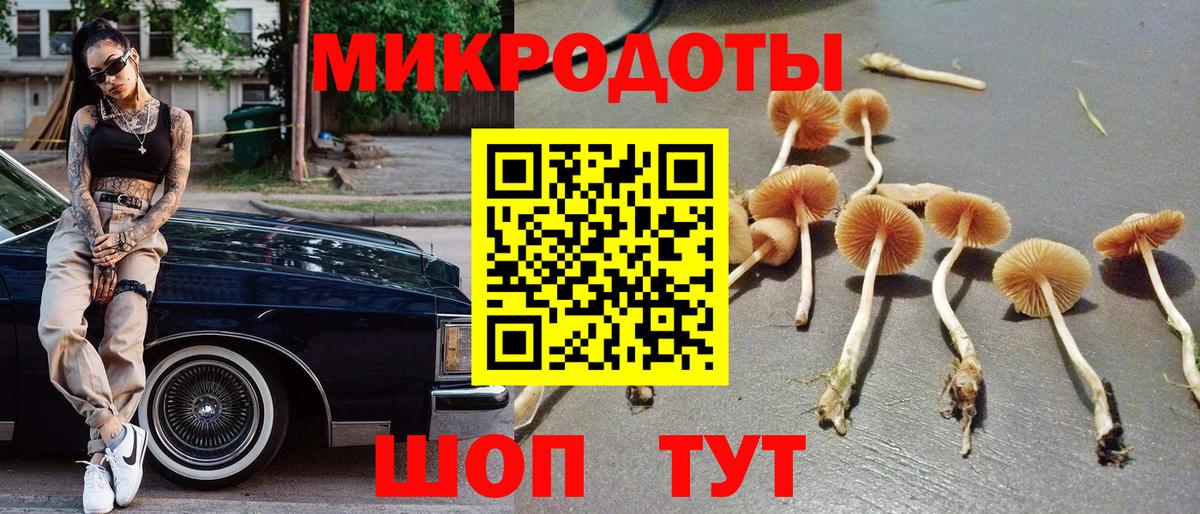 Владимир  Галлюциногенные грибы MAGIC MUSHROOMS  Галлюциногенные грибы ЛСД  Вход с VPN 