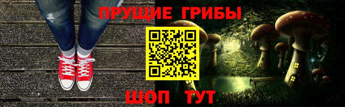 Псилоцибиновые грибы Cubensis Владимир