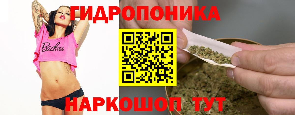 Владимир  Конопля Ganja  Каннабис семена  Вход с VPN 